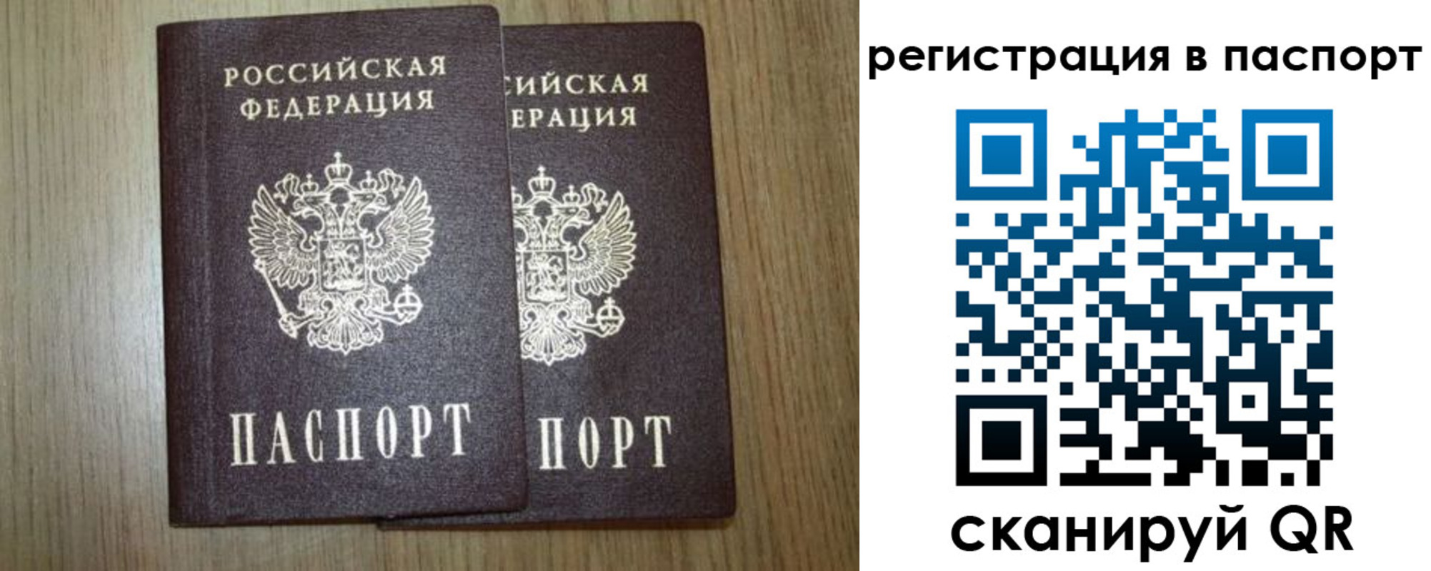 прописка регистрация в Новозыбкове